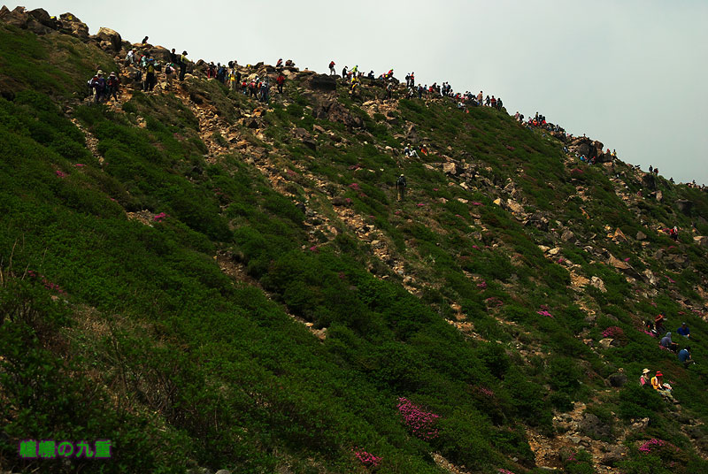 6月7日 Part2 驚愕の山頂祭_f0173067_11431037.jpg