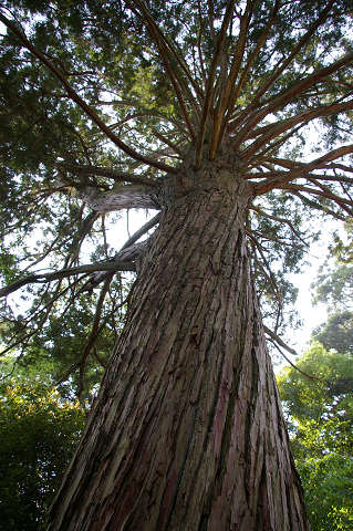 e0045768_2228043.jpg