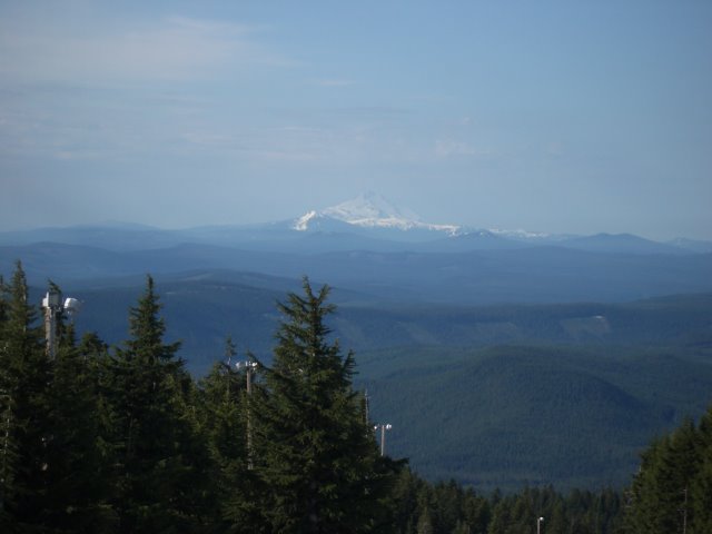 b0183670_3341716.jpg