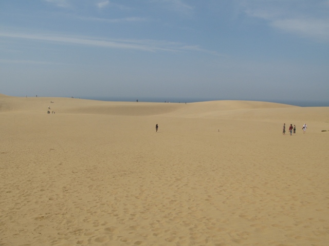 d0052770_9133713.jpg