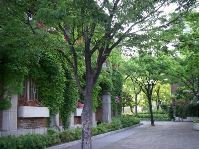 e0143671_10265732.jpg