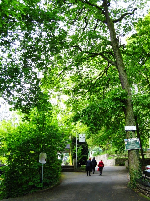 c0106372_2141569.jpg