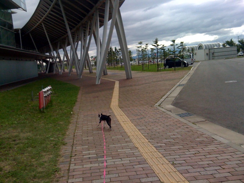 新青森県総合運動公園_f0168374_23204914.jpg