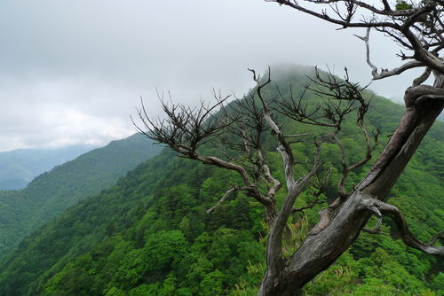 初めてのトレッキング②～下山・石碑編～_c0177576_22461335.jpg