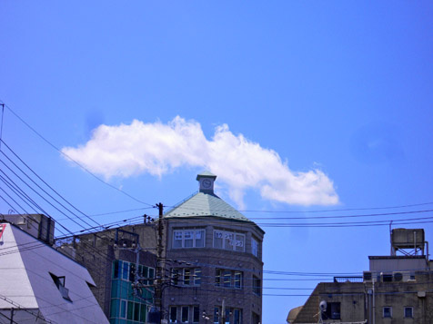 e0112077_3481938.jpg