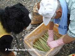 f0150377_11391210.jpg