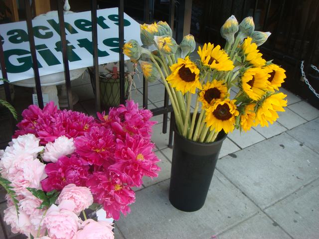 d0100880_20125137.jpg
