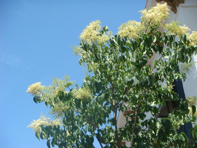 d0100880_20504519.jpg