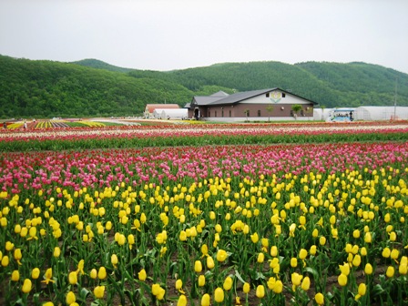 b0097183_12144932.jpg