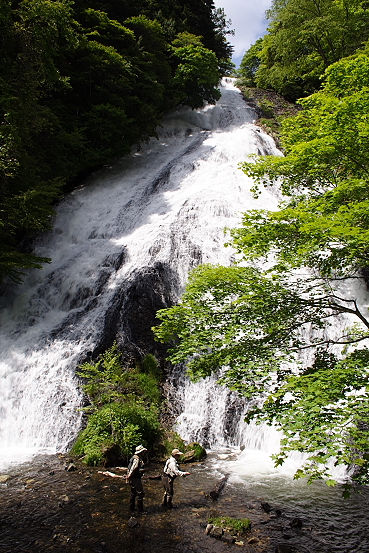 e0165983_13175444.jpg