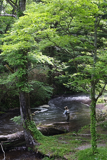 e0165983_1319811.jpg