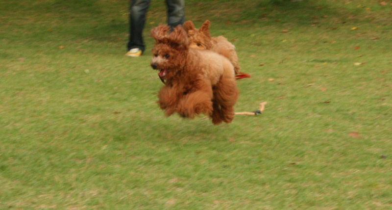 e0132586_02858.jpg