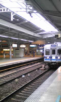 f0081293_1146246.jpg