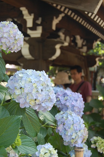 b0062495_20275131.jpg