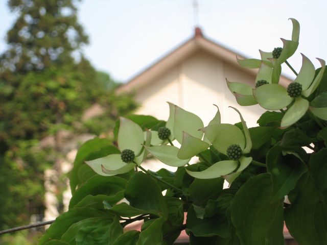 c0099395_8522170.jpg