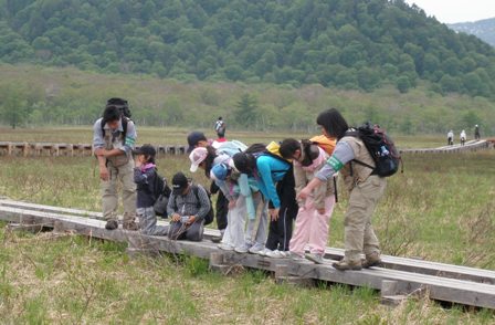 09 横浜市立さつきが丘小学校尾瀬交流会 ｇ ｎｅｃ自然環境科卒業生の会 理科部 自然環境科 活動記録