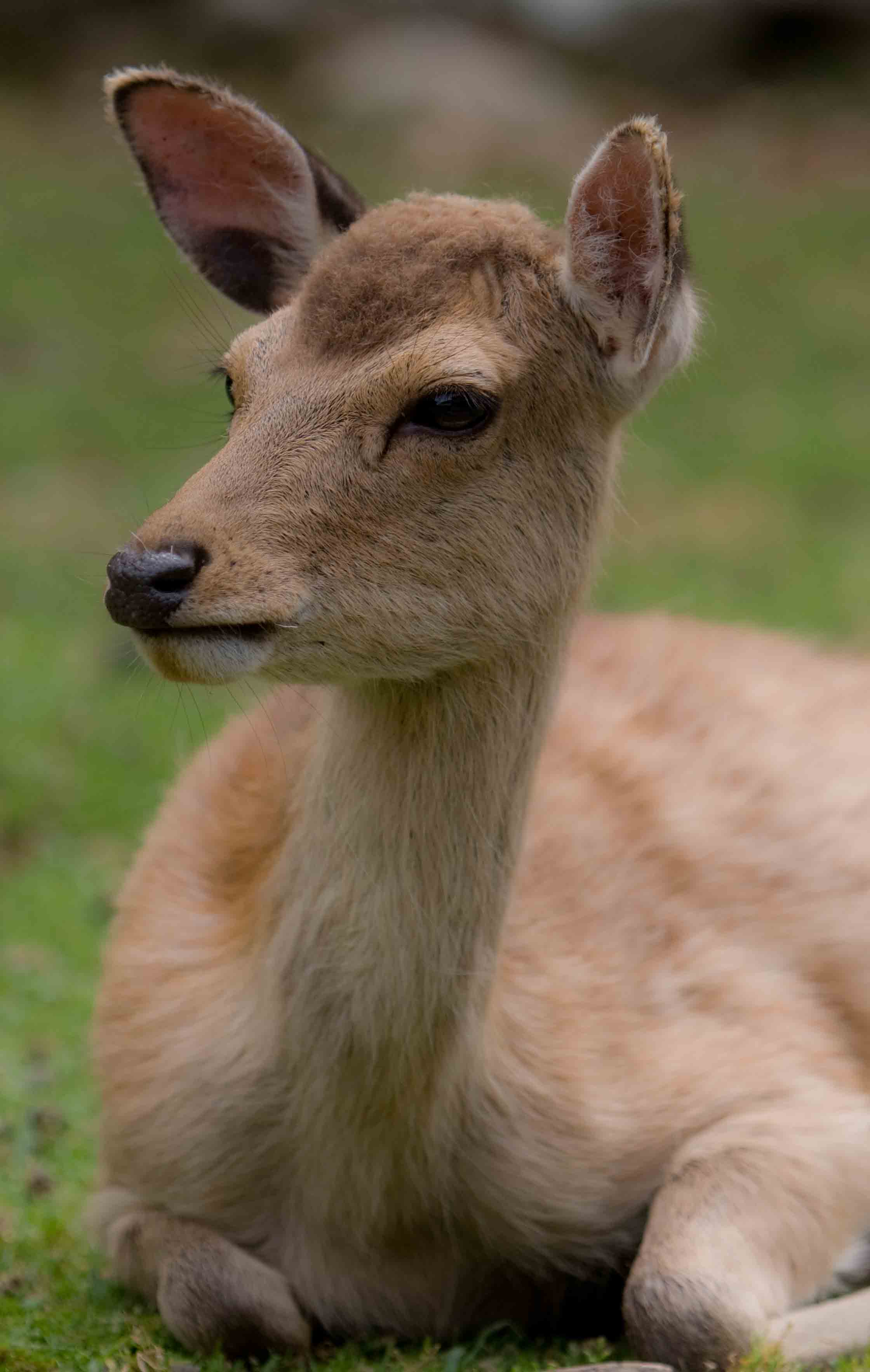 a0104501_2342348.jpg