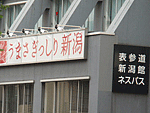 b0172203_1820733.gif