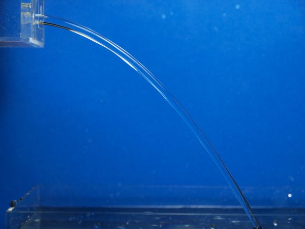 c0164709_210934.jpg