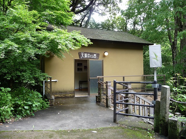 f0182513_17531618.jpg