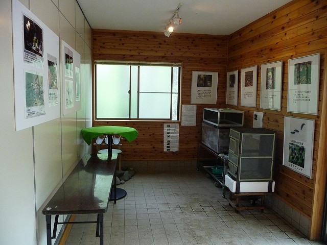 f0182513_175468.jpg