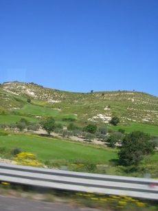 f0133814_15895.jpg