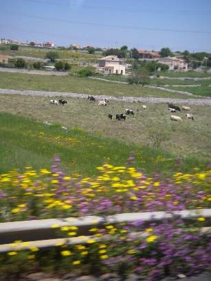f0133814_16346.jpg