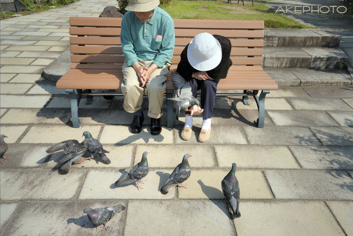 平和な午後のひとコマ_e0127416_14393892.jpg
