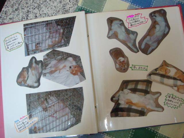 ひらいてみよう あの日を・・・_e0147716_3594612.jpg