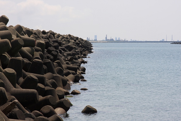 新潟東港 3_b0128621_21415955.jpg