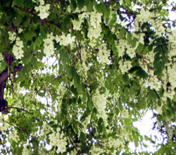 f0165224_22595672.jpg