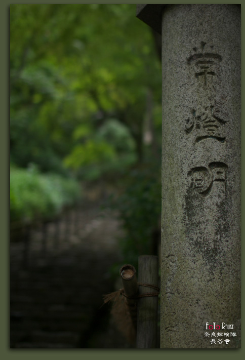 六月の奈良へ －長谷寺・前編－_e0150228_025862.jpg