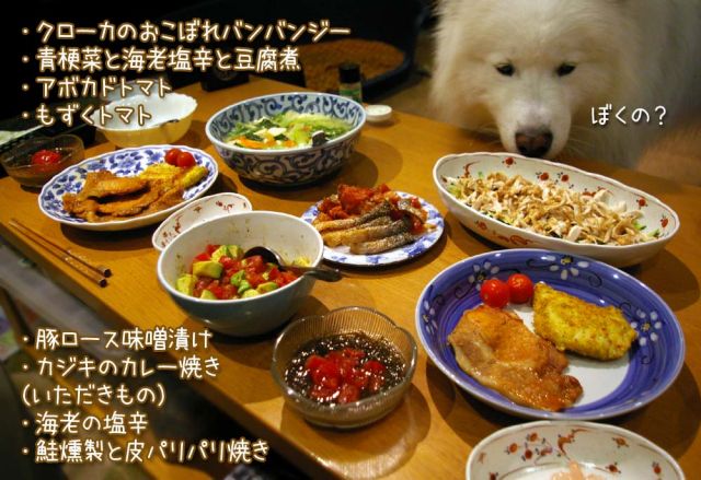 おうちでウマウマ_c0062832_16335793.jpg