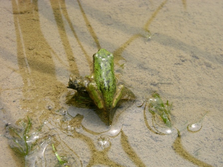 梅雨入り宣言。_a0123836_22583291.jpg