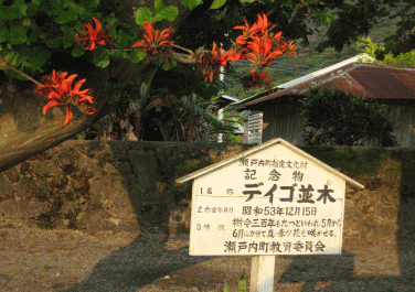 b0100637_15124522.gif