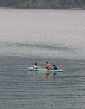 b0100637_15354416.gif