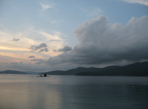 b0100637_15443592.gif