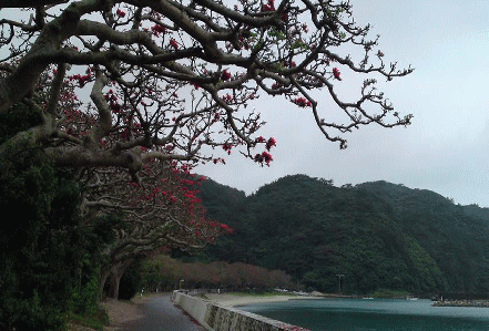 b0100637_21544727.gif