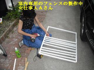 諸々は仕事_f0031037_2195059.jpg