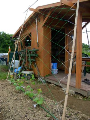 c0063348_6234617.jpg