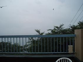 f0064449_862174.jpg