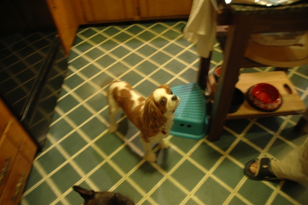 c0055857_1321759.jpg