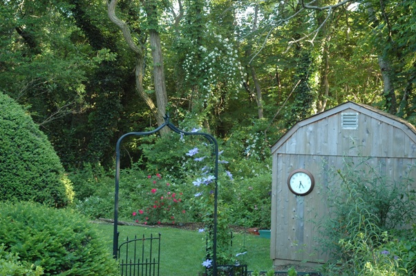 c0055857_137481.jpg