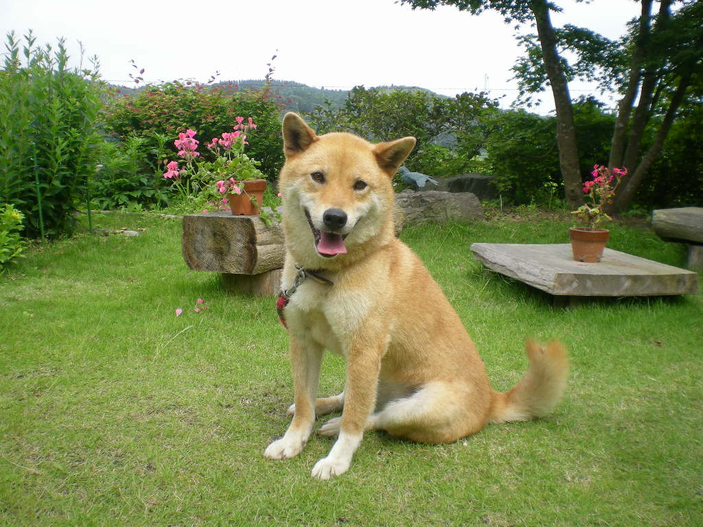 2009年6月10日(水)突然のお別れ!_f0060461_22405389.jpg