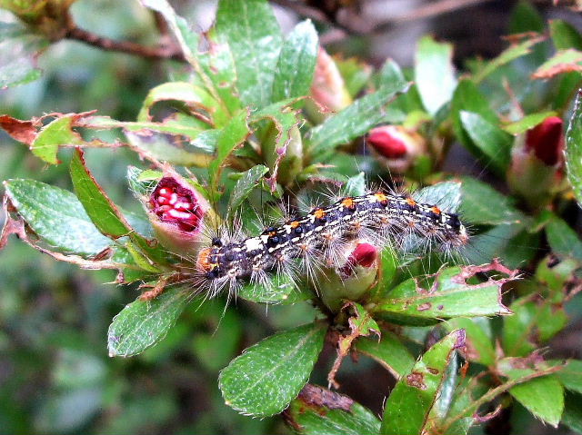 b0067569_8562870.jpg