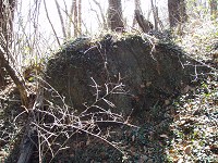 賀茂神社の「神籠石」 ～ 神様が降臨した石は何処に_b0004675_724928.jpg