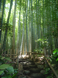 鎌倉~~~!!!_e0148776_14221977.jpg