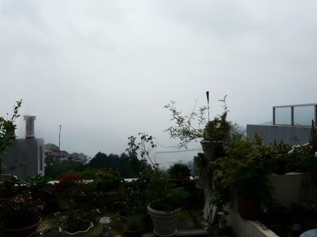 2009年6月10日 つゆだわ。。_b0098584_17372971.jpg