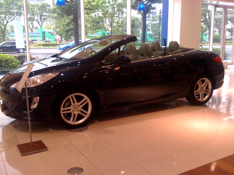 d0044986_814981.jpg