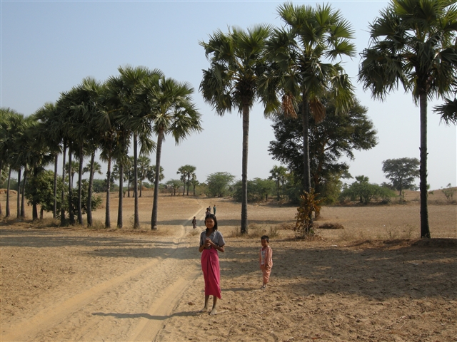 ミャンマー・バガンの僻地に学校を建てる_a0120187_1437981.jpg